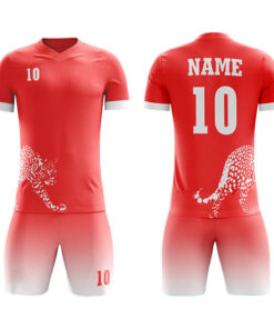 Club/Team Wear/League Sublimation Soccer Kits with Leopard Printing AFYM:2043