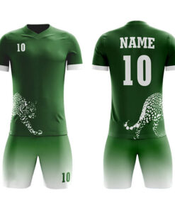 Club/Team Wear/League Sublimation Soccer Kits with Leopard Printing AFYM:2043