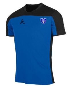 Custom Black and Blue Paneling T-Shirt AFYM:3013