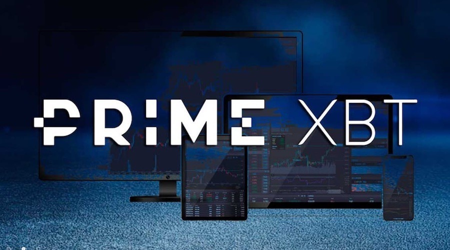 PrimeXBT vs Pocket Option A Comprehensive Analysis