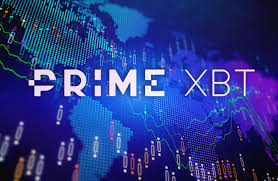 PrimeXBT vs Pocket Option A Comprehensive Analysis