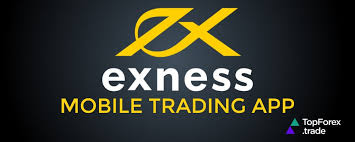 Understanding the Exness Trade Server Effectiveness